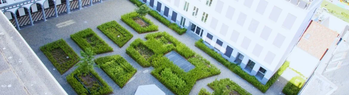Welk groendak past bij jouw project? Van extensief tot Biodak®