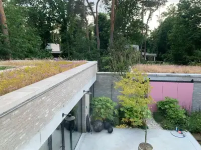 Groendaken voor een beter milieu