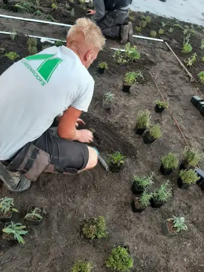Over EMC Greenroofs