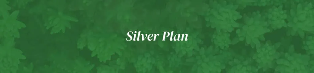 Silver Plan