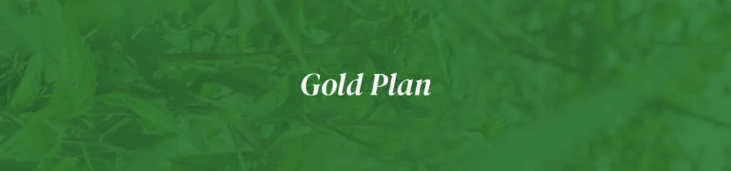Gold Plan